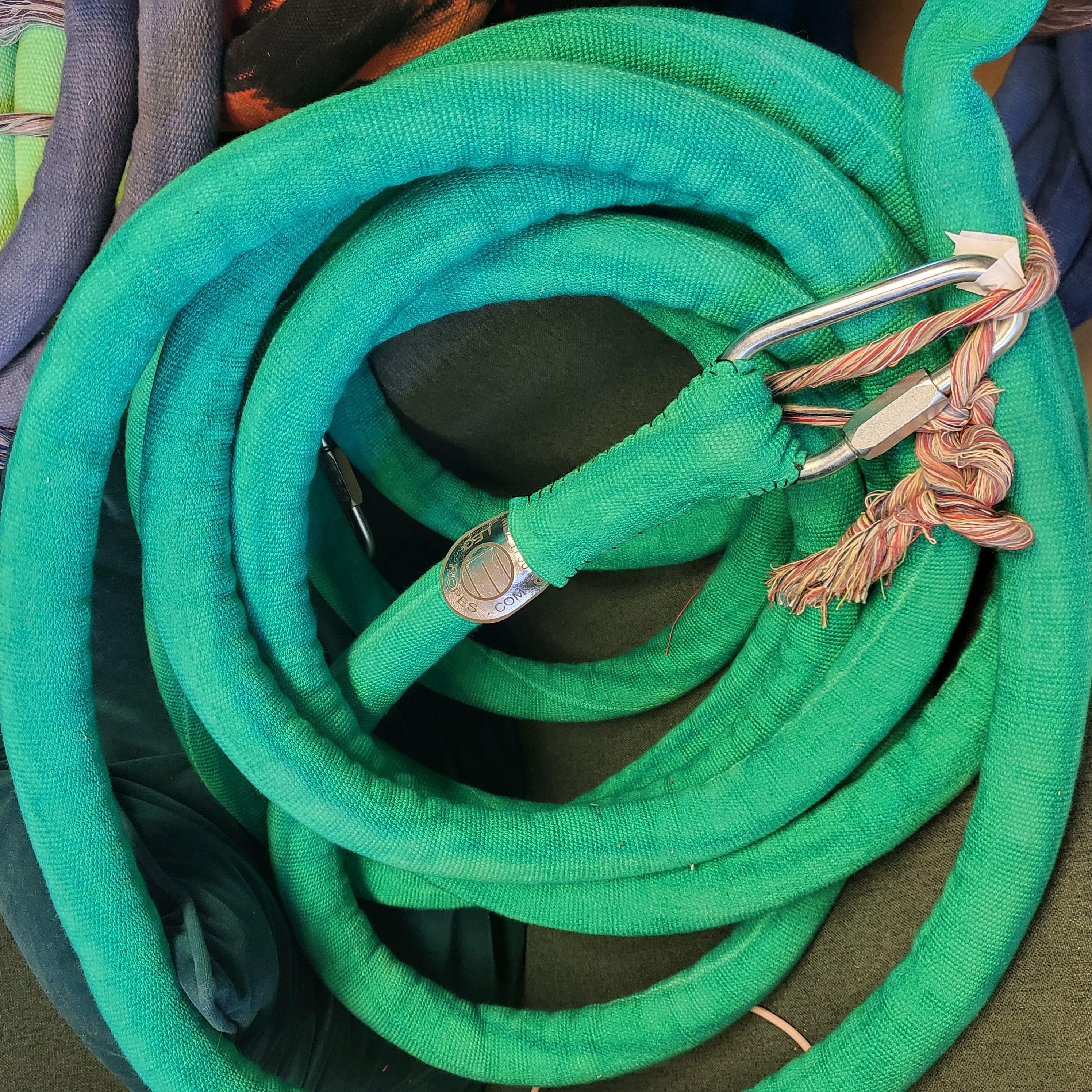 2703. 9m oldMedium-rough GrassGreen 
